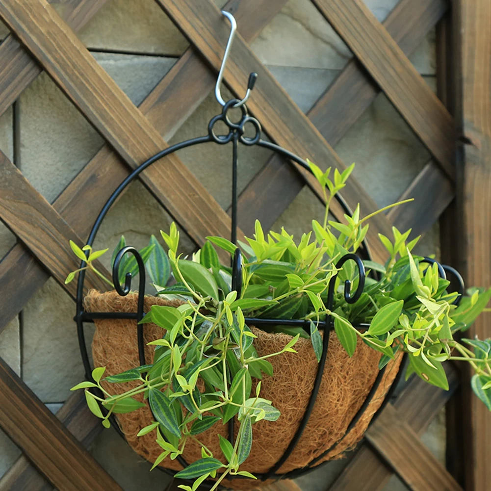 Hanging basket, flower pot, coconut palm, pastoral wall hanging, succulent plant, green ivy, hanging basin