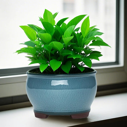 Ceramic Garden Planter Pots Ceramic Plant Pots with Drainage Holes for Indoor Flowers Cactus Herbs Aloes