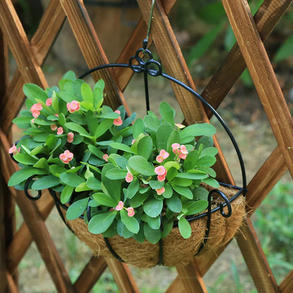 Hanging basket, flower pot, coconut palm, pastoral wall hanging, succulent plant, green ivy, hanging basin
