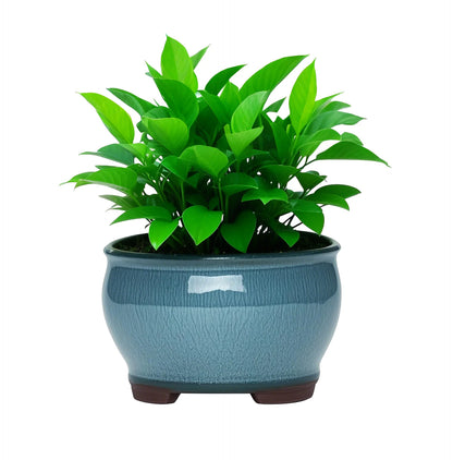 Ceramic Garden Planter Pots Ceramic Plant Pots with Drainage Holes for Indoor Flowers Cactus Herbs Aloes